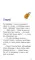 Приключения в большом городе