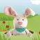 Bounce! Bounce! Bunnny