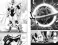 One-Punch Man 15. Кн. 29-30: Снова в бой; Величайшая твердыня: манга