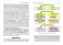 Иммунология: структура и функции иммунной системы: Учебное пособие. 2-е изд., перераб. и доп