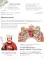 Верую! Наглядное объяснение Символа веры для детей и взрослых. 2-е изд