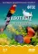 Мир в картинках. Животные домашние питомцы. 3-7 лет