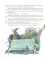 Большая книга волшебных сказок