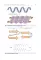 Essential Biochemistry for Medical Students with Problem-Solving Exercises : textbook. Базовый курс биохимии для студентов медицинских специальностей