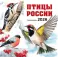 Птицы России. Календарь настенный на 2026 год
