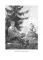 Рассказы (1883 -1903)