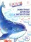 Животные Арктики и Антарктики. Графические диктанты. 4+