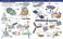 Большая энциклопедия. Самолеты, корабли, ракеты