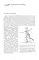 Фигурное катание; Прыжки в фигурном катании; Биомеханика движений фигуриста (комплект из 3-х книг)