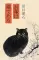 Wagahai wa neko de aru. Ваш покорный слуга кот