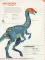 Dictionary of Dinosaurs