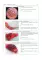 The Course of Faculty (Analitical) Surgery in Pictures, Tables and Schemes